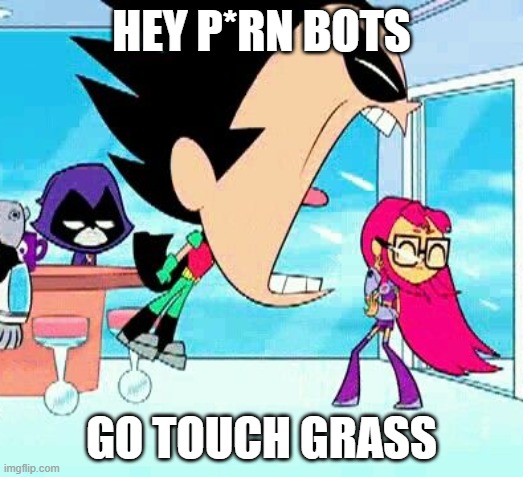 robin yelling at starfire | HEY P*RN BOTS; GO TOUCH GRASS | image tagged in robin yelling at starfire | made w/ Imgflip meme maker