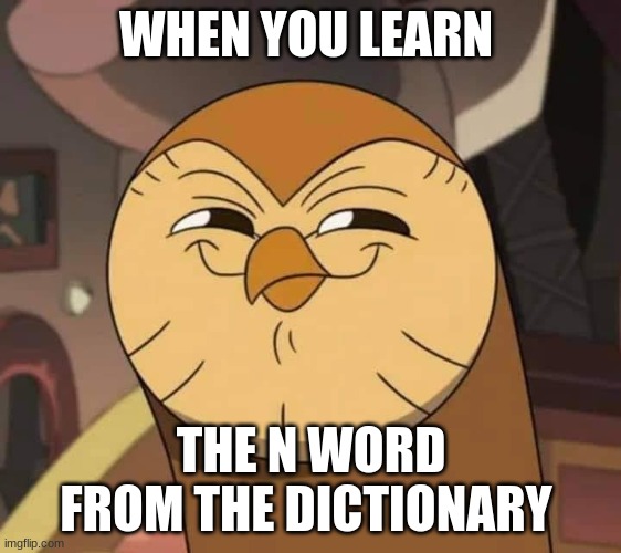 Hooty like | WHEN YOU LEARN; THE N WORD FROM THE DICTIONARY | image tagged in hooty like | made w/ Imgflip meme maker