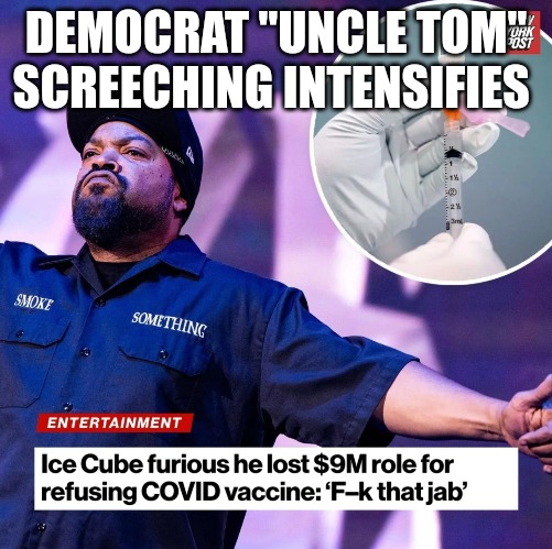 Is Hollywood going to cancel Ice Cube next? |  DEMOCRAT "UNCLE TOM" SCREECHING INTENSIFIES | image tagged in memes,politics,ice cube,hip hop,hollywood,black lives matter | made w/ Imgflip meme maker