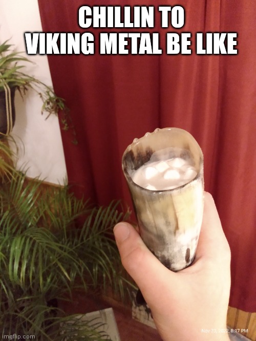 Cozy Viking metal | CHILLIN TO VIKING METAL BE LIKE | made w/ Imgflip meme maker