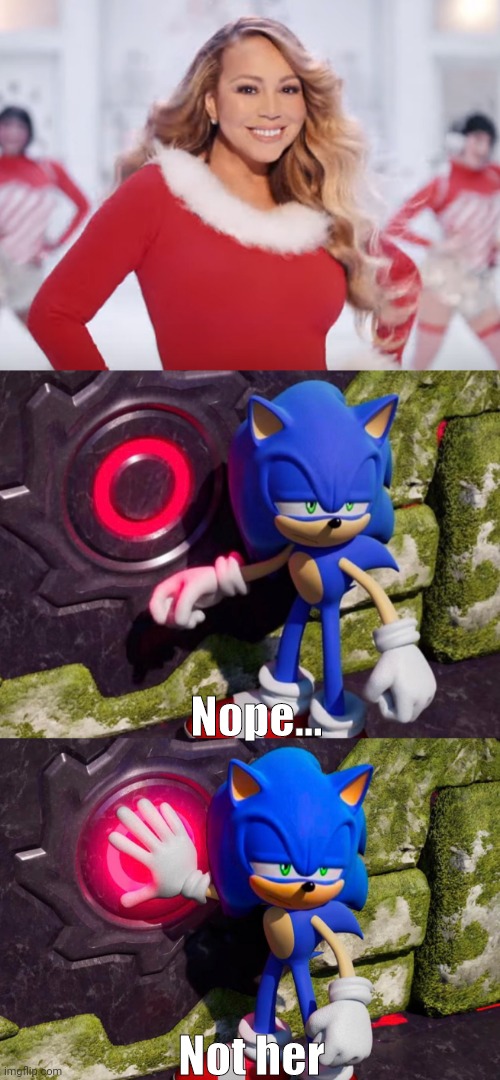  Nope... Not her | image tagged in sonic the hedgehog,sonic frontiers,memes,funny memes | made w/ Imgflip meme maker