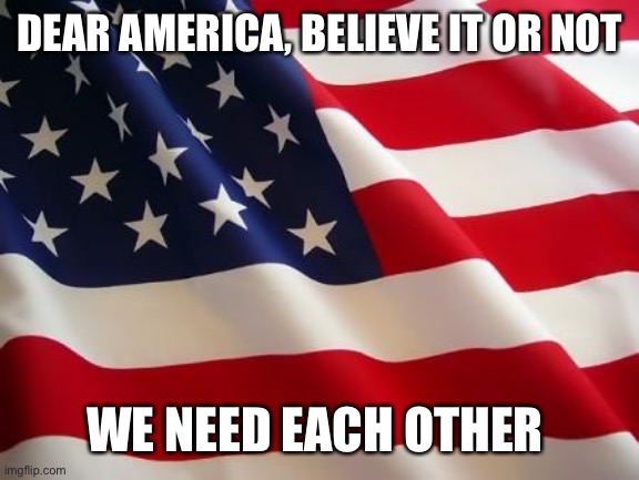 American flag | DEAR AMERICA, BELIEVE IT OR NOT; WE NEED EACH OTHER | image tagged in american flag | made w/ Imgflip meme maker