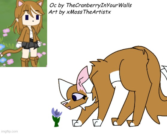Put your oc's in the comments and i will most likely draw them! | made w/ Imgflip meme maker