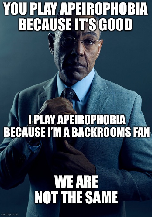 Gus Fring we are not the same | YOU PLAY APEIROPHOBIA BECAUSE IT’S GOOD; I PLAY APEIROPHOBIA BECAUSE I’M A BACKROOMS FAN; WE ARE NOT THE SAME | image tagged in gus fring we are not the same,the backrooms | made w/ Imgflip meme maker
