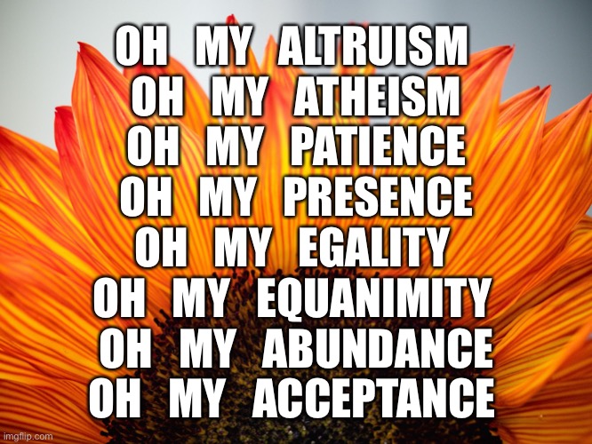 gratitude | OH   MY   ALTRUISM 
OH   MY   ATHEISM
OH   MY   PATIENCE
OH   MY   PRESENCE
OH   MY   EGALITY 
OH   MY   EQUANIMITY 
OH   MY   ABUNDANCE
OH   MY   ACCEPTANCE | image tagged in gratitude | made w/ Imgflip meme maker