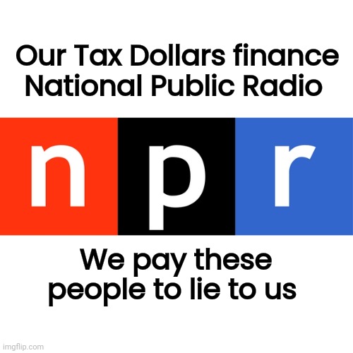 You want something to Defund ? | Our Tax Dollars finance National Public Radio; We pay these people to lie to us | image tagged in npr logo,liberal hypocrisy,media lies,biased media,sold out | made w/ Imgflip meme maker