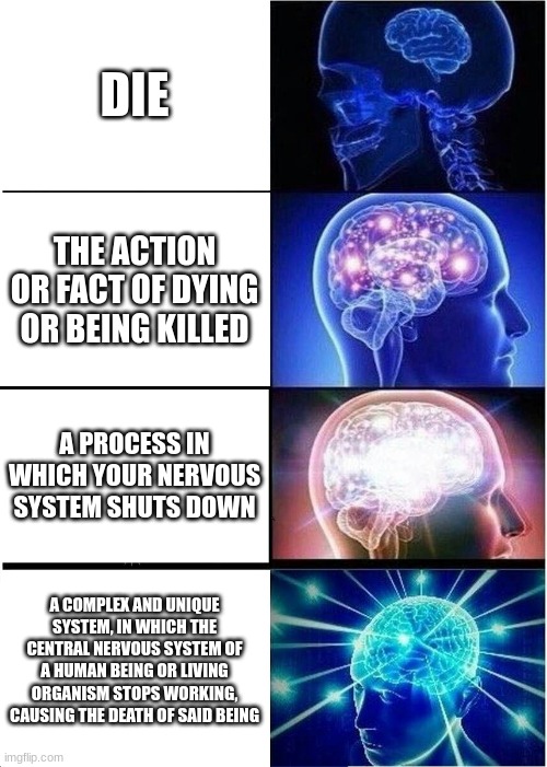 Expanding Brain | DIE; THE ACTION OR FACT OF DYING OR BEING KILLED; A PROCESS IN WHICH YOUR NERVOUS SYSTEM SHUTS DOWN; A COMPLEX AND UNIQUE SYSTEM, IN WHICH THE CENTRAL NERVOUS SYSTEM OF A HUMAN BEING OR LIVING ORGANISM STOPS WORKING, CAUSING THE DEATH OF SAID BEING | image tagged in memes,expanding brain | made w/ Imgflip meme maker