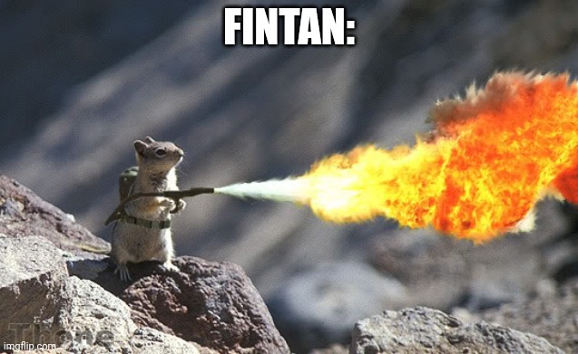 Flame War Squirrel | FINTAN: | image tagged in flame war squirrel | made w/ Imgflip meme maker