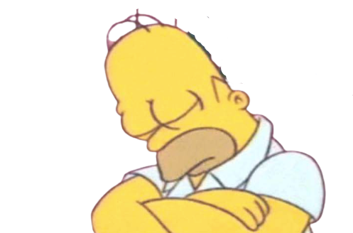 High Quality Homer Asleep Blank Meme Template