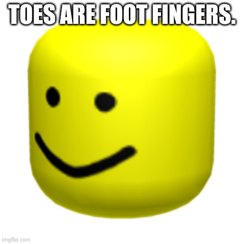 Roblox Oof | TOES ARE FOOT FINGERS. | image tagged in roblox oof | made w/ Imgflip meme maker