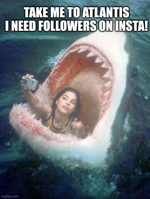 Shark | TAKE ME TO ATLANTIS I NEED FOLLOWERS ON INSTA! | image tagged in shark | made w/ Imgflip meme maker