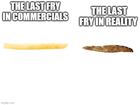 Blank White Template | THE LAST FRY IN REALITY; THE LAST FRY IN COMMERCIALS | image tagged in blank white template | made w/ Imgflip meme maker