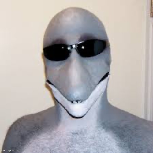 Dolphin guy | image tagged in dolphin guy | made w/ Imgflip meme maker