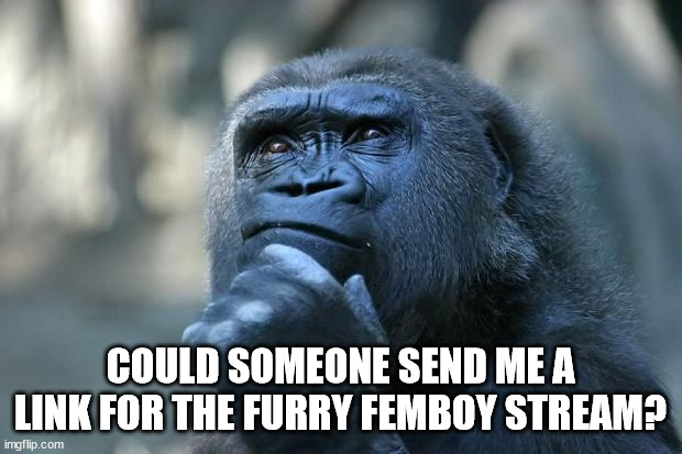 e | COULD SOMEONE SEND ME A LINK FOR THE FURRY FEMBOY STREAM? | image tagged in deep thoughts | made w/ Imgflip meme maker