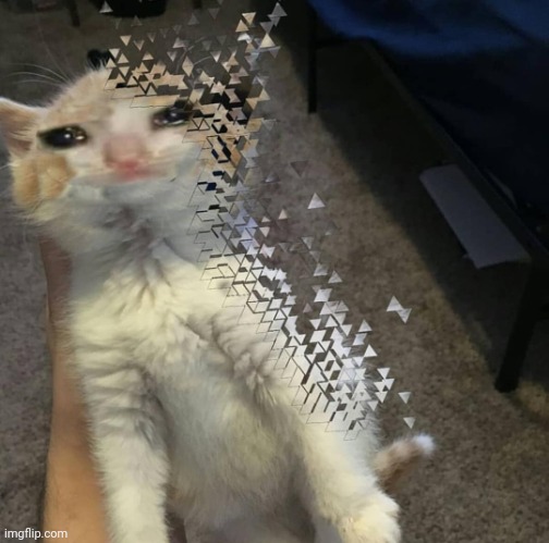 Cat got snapped | image tagged in thanos cat | made w/ Imgflip meme maker