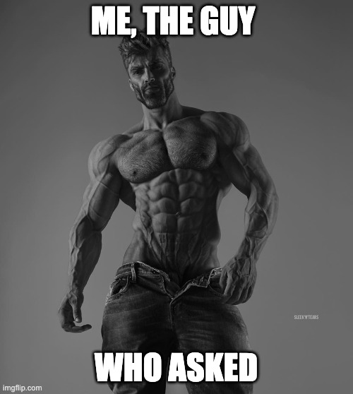 giga chad | ME, THE GUY WHO ASKED | image tagged in giga chad | made w/ Imgflip meme maker