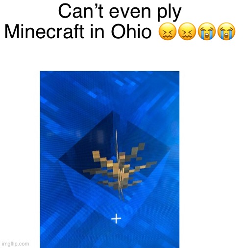 Frick ohio | Can’t even ply Minecraft in Ohio 😖😖😭😭 | image tagged in ohio,minecraft,bug,just why | made w/ Imgflip meme maker