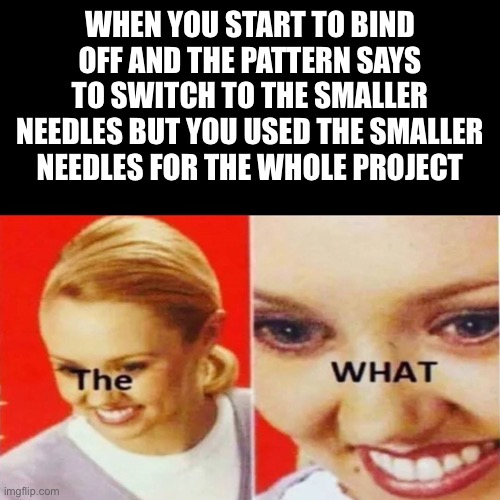 The What | WHEN YOU START TO BIND OFF AND THE PATTERN SAYS TO SWITCH TO THE SMALLER NEEDLES BUT YOU USED THE SMALLER NEEDLES FOR THE WHOLE PROJECT | image tagged in the what,yarntrolls | made w/ Imgflip meme maker