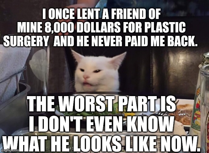  I ONCE LENT A FRIEND OF MINE 8,000 DOLLARS FOR PLASTIC SURGERY  AND HE NEVER PAID ME BACK. THE WORST PART IS I DON'T EVEN KNOW WHAT HE LOOKS LIKE NOW. | image tagged in smudge the cat | made w/ Imgflip meme maker
