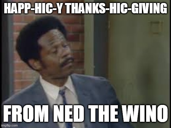Ned The Wino | HAPP-HIC-Y THANKS-HIC-GIVING; FROM NED THE WINO | image tagged in good times,wine,thanksgiving,drunk | made w/ Imgflip meme maker