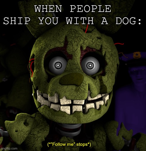 NO. | WHEN PEOPLE SHIP YOU WITH A DOG:; (*”Follow me” stops*) | image tagged in springtrap | made w/ Imgflip meme maker