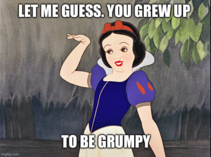 snow white wave | LET ME GUESS. YOU GREW UP TO BE GRUMPY | image tagged in snow white wave | made w/ Imgflip meme maker