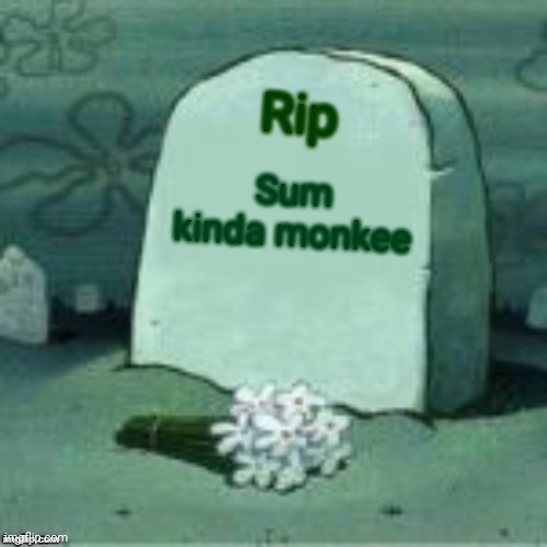 Here Lies X | Sum kinda monkee Rip | image tagged in here lies x | made w/ Imgflip meme maker