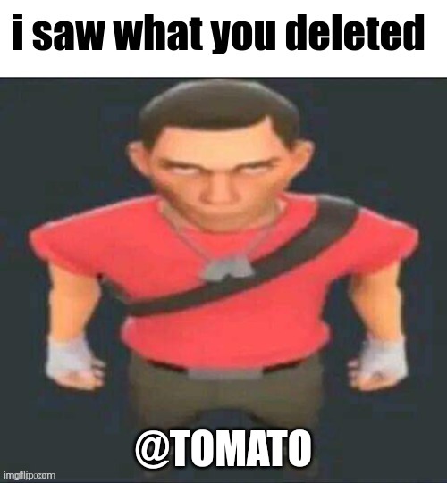 i saw what you deleted scout | @TOMATO | image tagged in i saw what you deleted scout | made w/ Imgflip meme maker