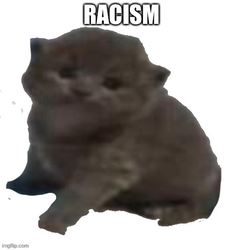 RACISM | made w/ Imgflip meme maker