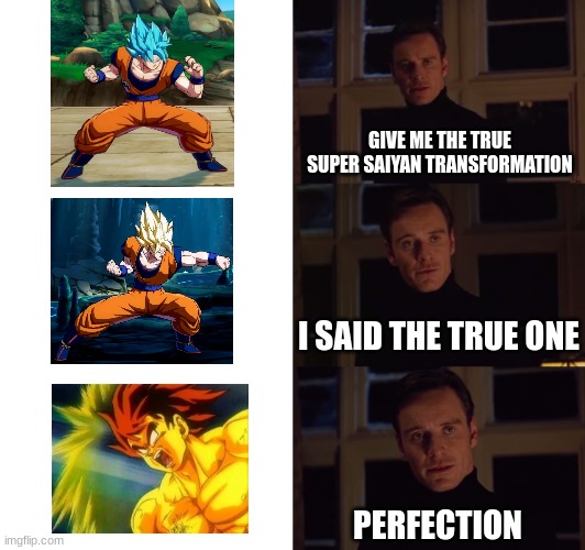 perfection |  GIVE ME THE TRUE SUPER SAIYAN TRANSFORMATION; I SAID THE TRUE ONE; PERFECTION | image tagged in perfection | made w/ Imgflip meme maker