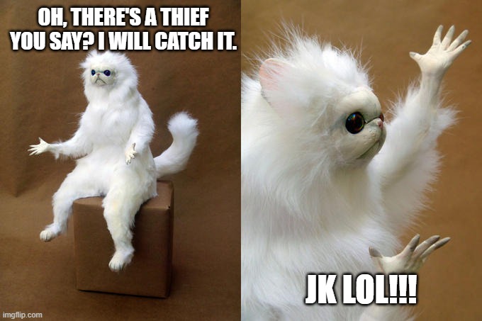 When a Persian Cat rules your house | OH, THERE'S A THIEF YOU SAY? I WILL CATCH IT. JK LOL!!! | image tagged in memes,persian cat room guardian | made w/ Imgflip meme maker