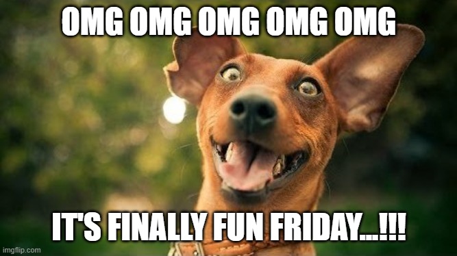 excited dog are you here yet | OMG OMG OMG OMG OMG; IT'S FINALLY FUN FRIDAY...!!! | image tagged in excited dog are you here yet | made w/ Imgflip meme maker