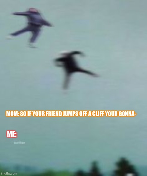 MOM: SO IF YOUR FRIEND JUMPS OFF A CLIFF YOUR GONNA-; ME: | image tagged in friends,cliff,mom,dank memes,you the real mvp,homies | made w/ Imgflip meme maker