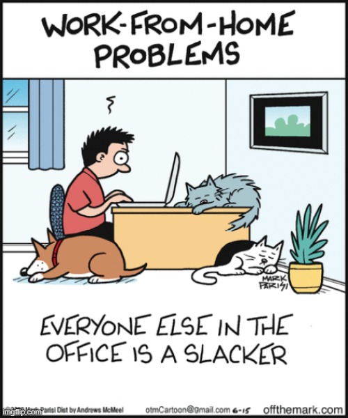 image tagged in memes,comics,work from home,cats,dogs,slacker | made w/ Imgflip meme maker