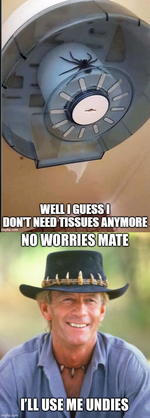 Undies | NO WORRIES MATE; I’LL USE ME UNDIES | image tagged in noice,toilet paper,spider,undies,meanwhile in australia | made w/ Imgflip meme maker