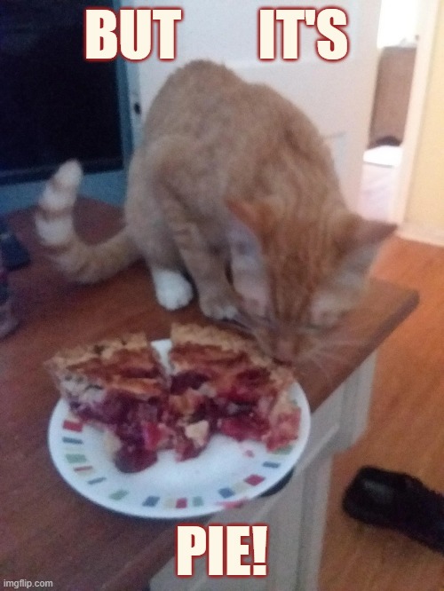 BUT       IT'S PIE! | made w/ Imgflip meme maker