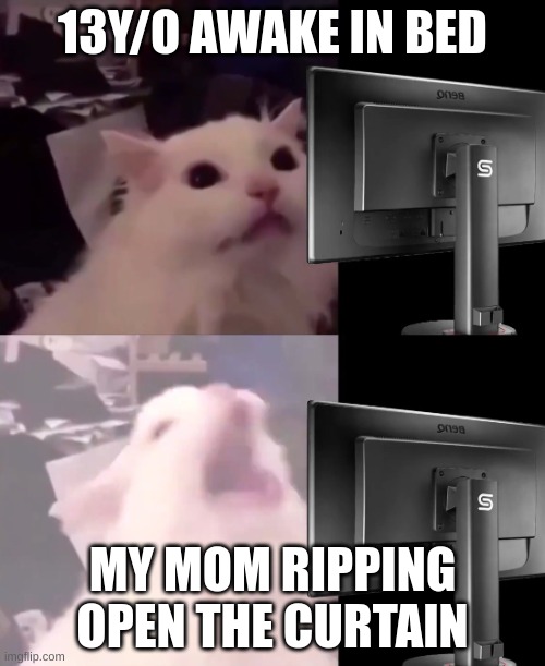 every time im closer to getting blind | 13Y/O AWAKE IN BED; MY MOM RIPPING OPEN THE CURTAIN | image tagged in cat lightmode | made w/ Imgflip meme maker