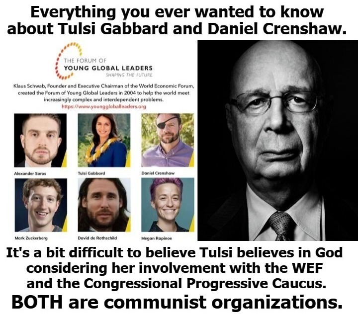 Everything you ever wanted to know about Tulsi Gabbard and Daniel Crenshaw. | image tagged in tulsi gabbard,daniel crenshaw,wef,congressional progressive caucus,communists,crush the commies | made w/ Imgflip meme maker