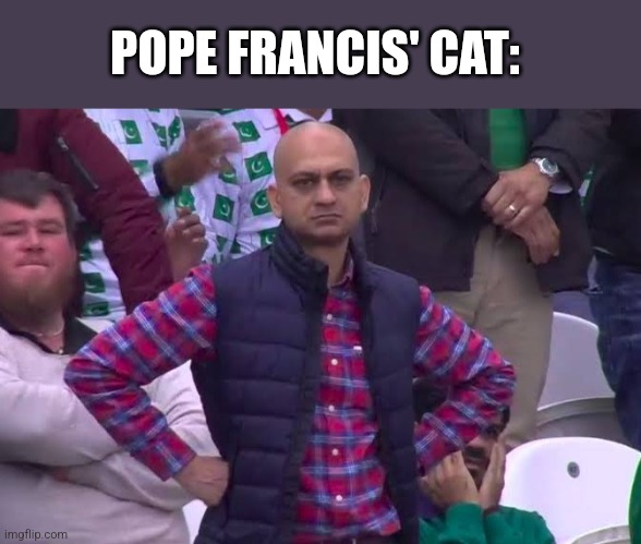 Disappointed Man | POPE FRANCIS' CAT: | image tagged in disappointed man | made w/ Imgflip meme maker