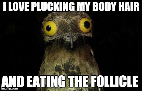 Weird Stuff I Do Potoo Meme | I LOVE PLUCKING MY BODY HAIR AND EATING THE FOLLICLE | image tagged in memes,weird stuff i do potoo,AdviceAnimals | made w/ Imgflip meme maker