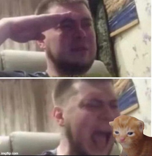 Crying salute | image tagged in crying salute | made w/ Imgflip meme maker