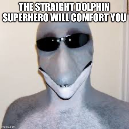Dolphin guy | THE STRAIGHT DOLPHIN SUPERHERO WILL COMFORT YOU | image tagged in dolphin guy | made w/ Imgflip meme maker