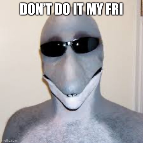 Dolphin guy | DON’T DO IT MY FRIEND | image tagged in dolphin guy | made w/ Imgflip meme maker