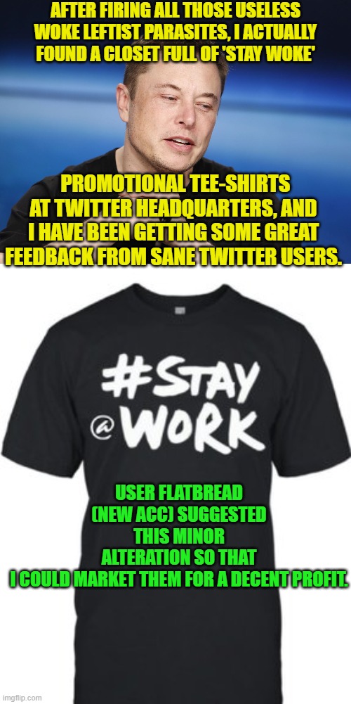 The political Left's worse nightmare . . . the nation Waking-Up as opposed to being WOKE. | AFTER FIRING ALL THOSE USELESS WOKE LEFTIST PARASITES, I ACTUALLY FOUND A CLOSET FULL OF 'STAY WOKE'; PROMOTIONAL TEE-SHIRTS AT TWITTER HEADQUARTERS, AND I HAVE BEEN GETTING SOME GREAT FEEDBACK FROM SANE TWITTER USERS. USER FLATBREAD (NEW ACC) SUGGESTED THIS MINOR ALTERATION SO THAT I COULD MARKET THEM FOR A DECENT PROFIT. | image tagged in elon musk responding | made w/ Imgflip meme maker