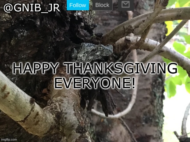 Happy Thanksgiving! | HAPPY THANKSGIVING EVERYONE! | image tagged in gnib_jr's main template,thanksgiving,happy thanksgiving | made w/ Imgflip meme maker