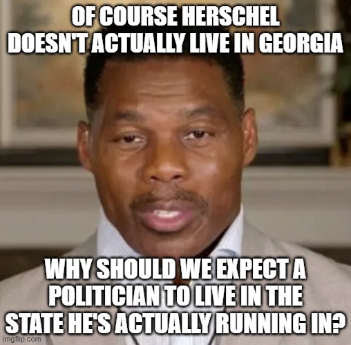 Herschel BrainTrust Walker | OF COURSE HERSCHEL DOESN'T ACTUALLY LIVE IN GEORGIA; WHY SHOULD WE EXPECT A POLITICIAN TO LIVE IN THE STATE HE'S ACTUALLY RUNNING IN? | image tagged in herschel braintrust walker | made w/ Imgflip meme maker