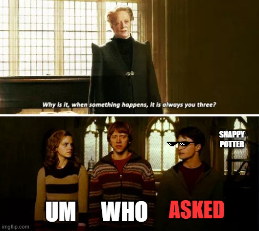 Always you three | SNAPPY POTTER; ASKED; UM; WHO | image tagged in always you three | made w/ Imgflip meme maker