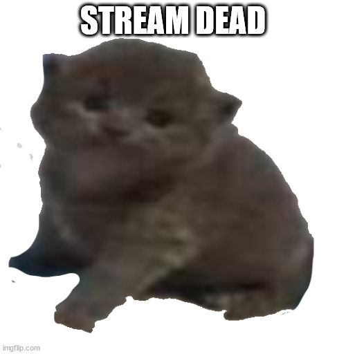 lord timothy the third | STREAM DEAD | image tagged in lord timothy the third | made w/ Imgflip meme maker
