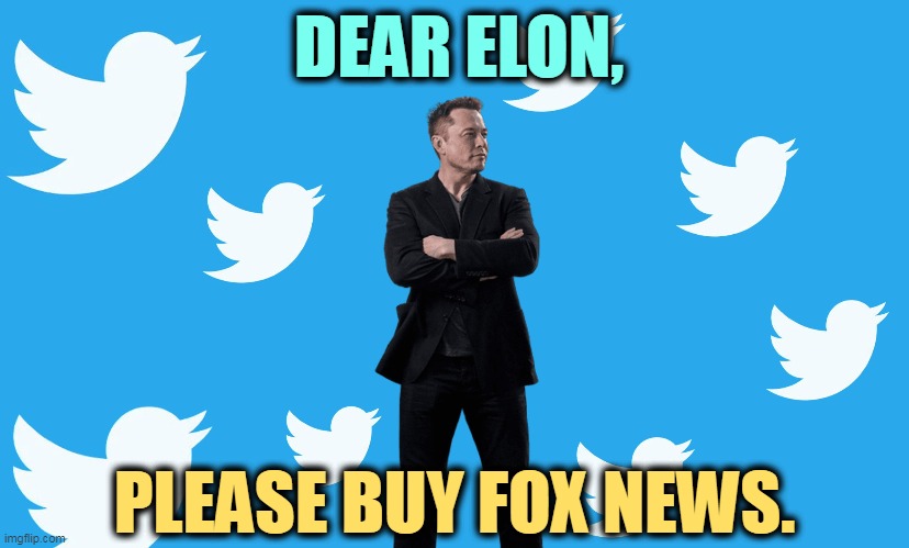Please! | DEAR ELON, PLEASE BUY FOX NEWS. | image tagged in elon musk,twitter,disaster,fox news,next | made w/ Imgflip meme maker