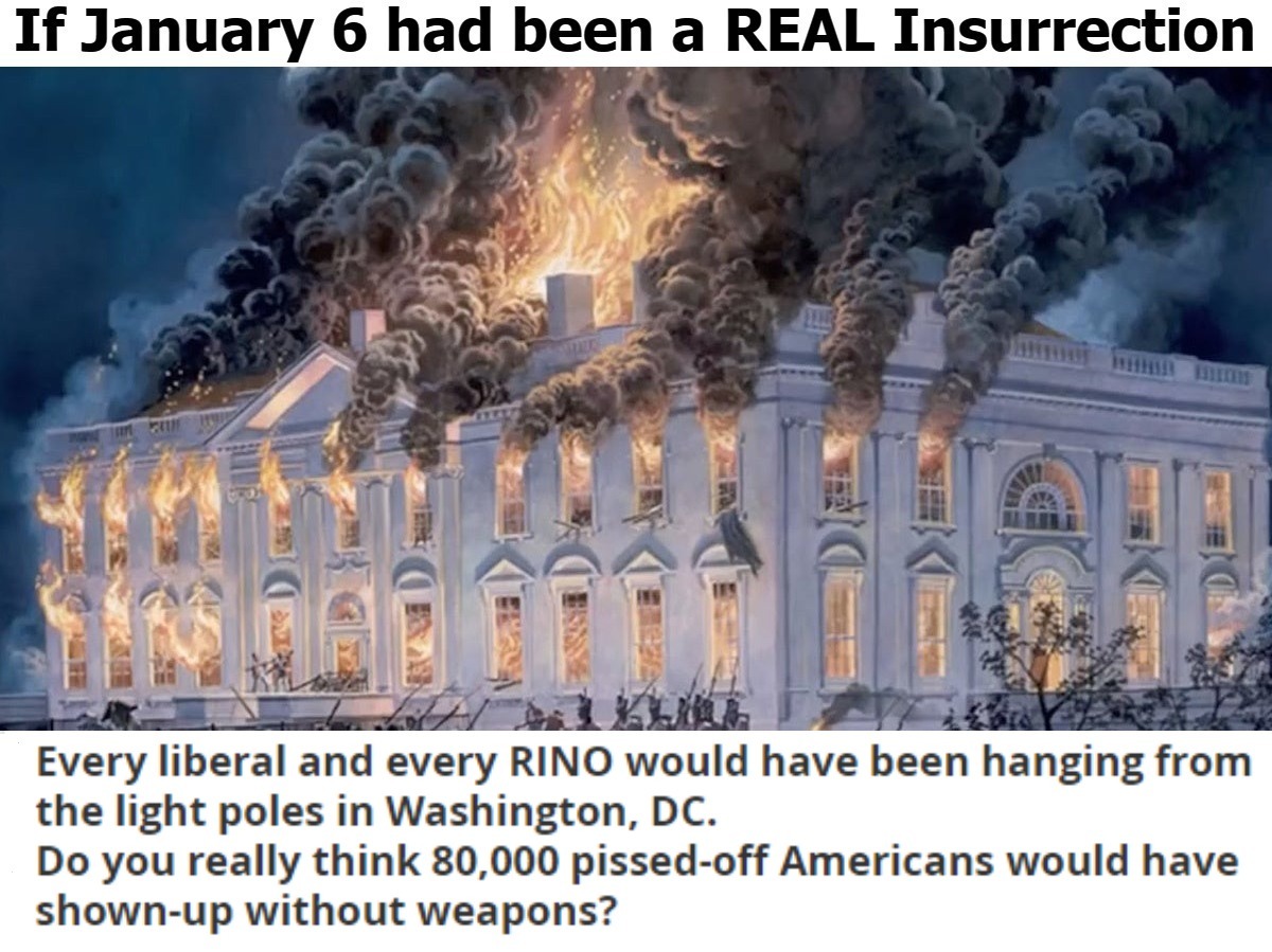 If January 6 had been a REAL Insurrection | image tagged in january 6,insurrection,false narrative,sounds like communist propaganda | made w/ Imgflip meme maker